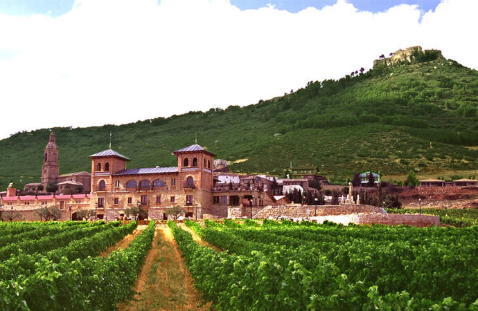 Image of the winery's façade and vineyards