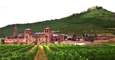Imagen de la fachada y los viñedos de la bodega