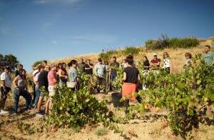 Imagen de un grupo de personas en el viñedo.