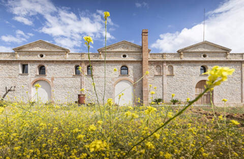 Bild der Fassade des Weinkellers.