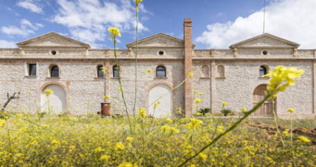 Bild der Fassade des Weinkellers.