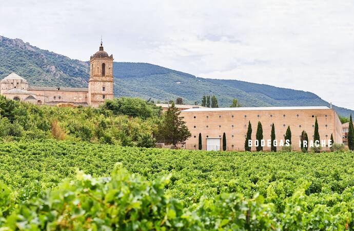 Imagen de los viñedos y el edificio de la bodega por detrás.