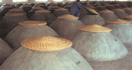 Imagen de la nave donde se encuentran las tinajas