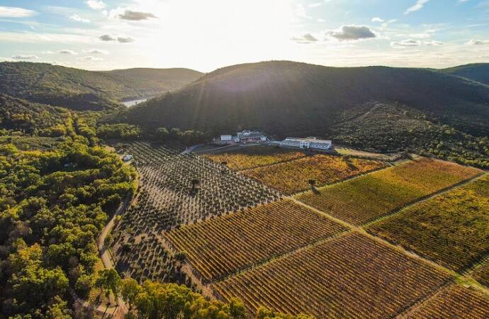 Imagen panorámica del viñedo de la bodega.