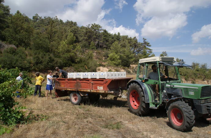 A photo of a tractor in the winery's vineyards.