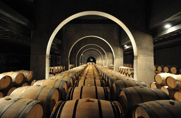 Image of barrels inside the winery.