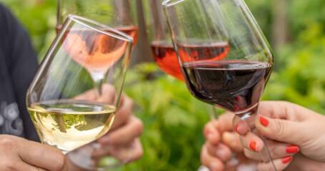 Imagen de cuatro copas de vino brindando.