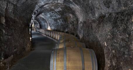 Imagen de los calados de la bodega.