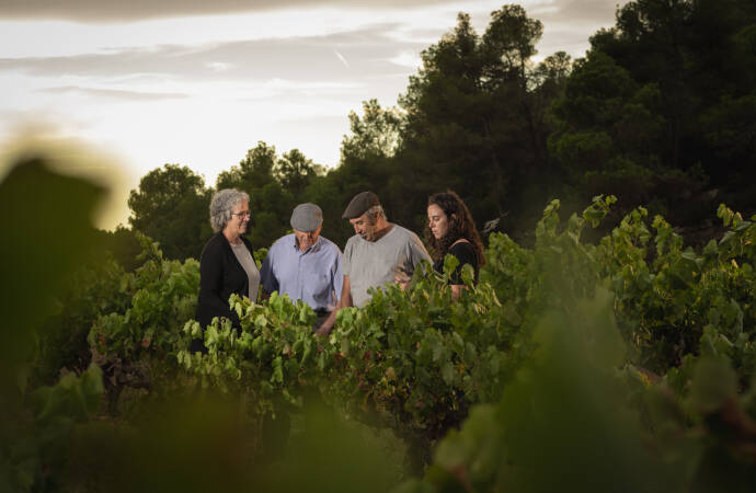 Photo of four people among the vineyards