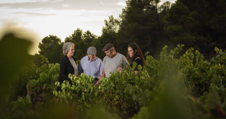 Foto von vier Personen inmitten der Weinberge