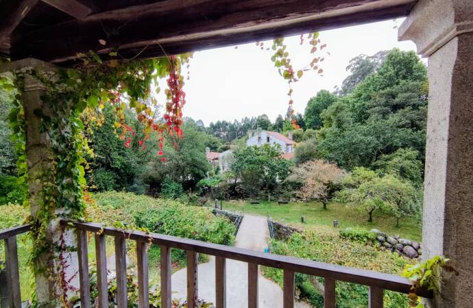Imagen del patio vista desde una terraza.