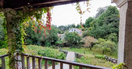 Imagen del patio vista desde una terraza.
