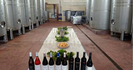 Imagen de una mesa con vinos de la bodega.