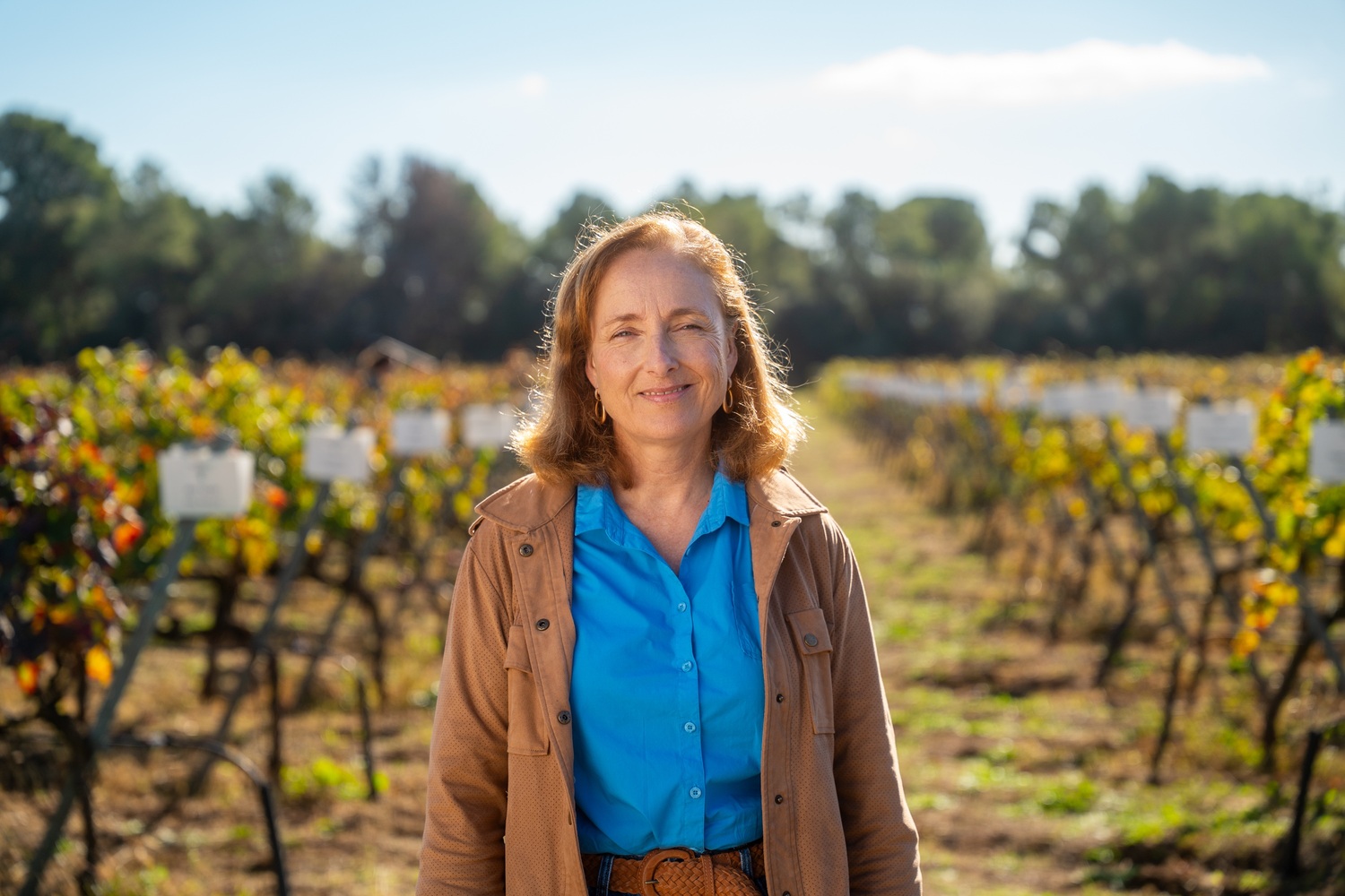 Mireia Torres, Familia Torres.