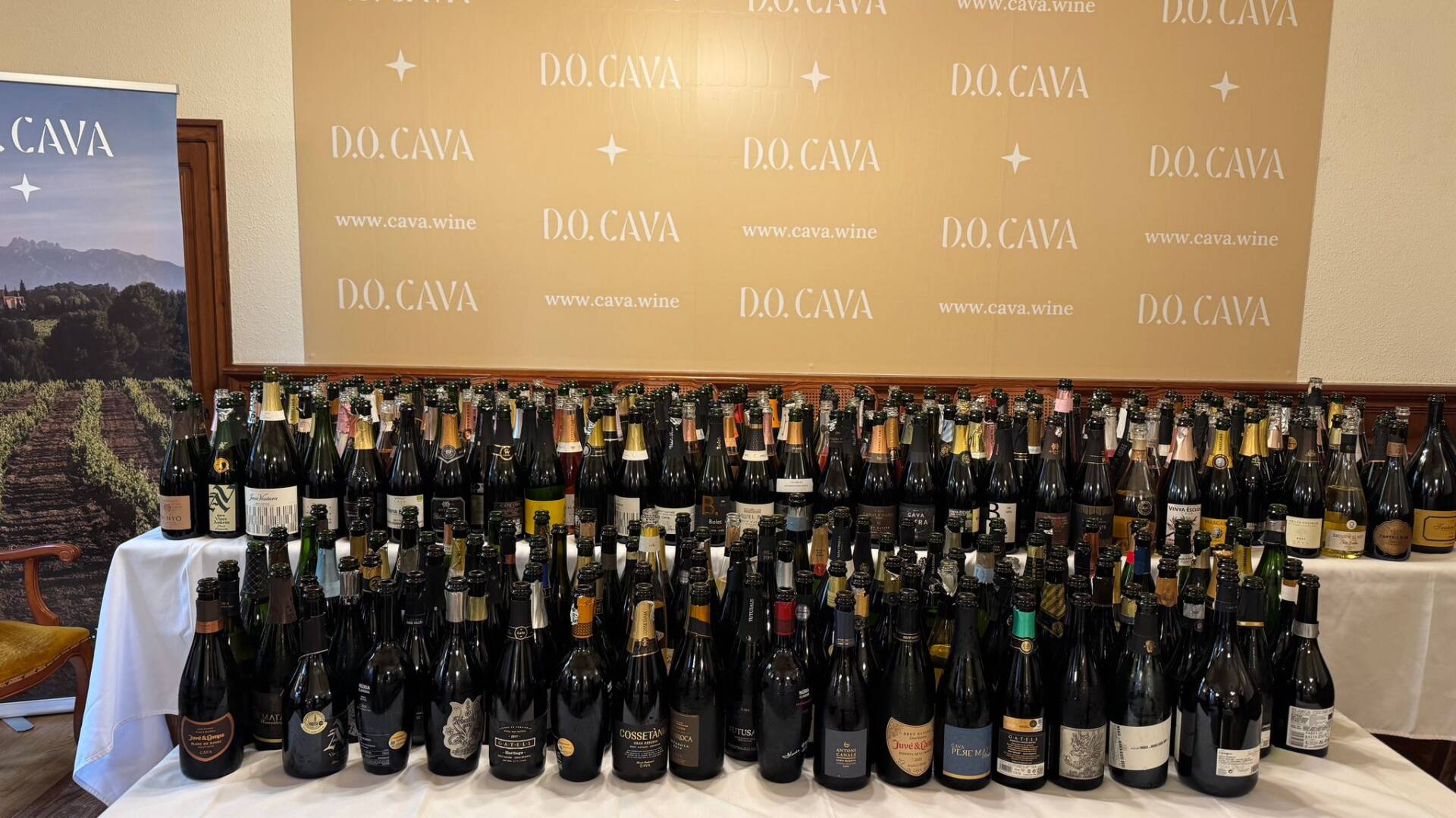 Muestra de vinos espumosos catados.