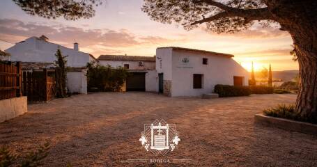 Bild der Fassade des Weinguts.