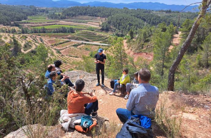Bild einer Gruppe von Menschen, die durch die Weinberge spazieren.