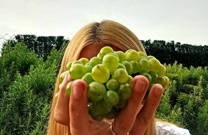 Image of a girl holding a bunch of grapes.