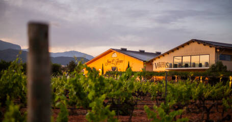 A view of the vineyard and the winery's facade at sunset.