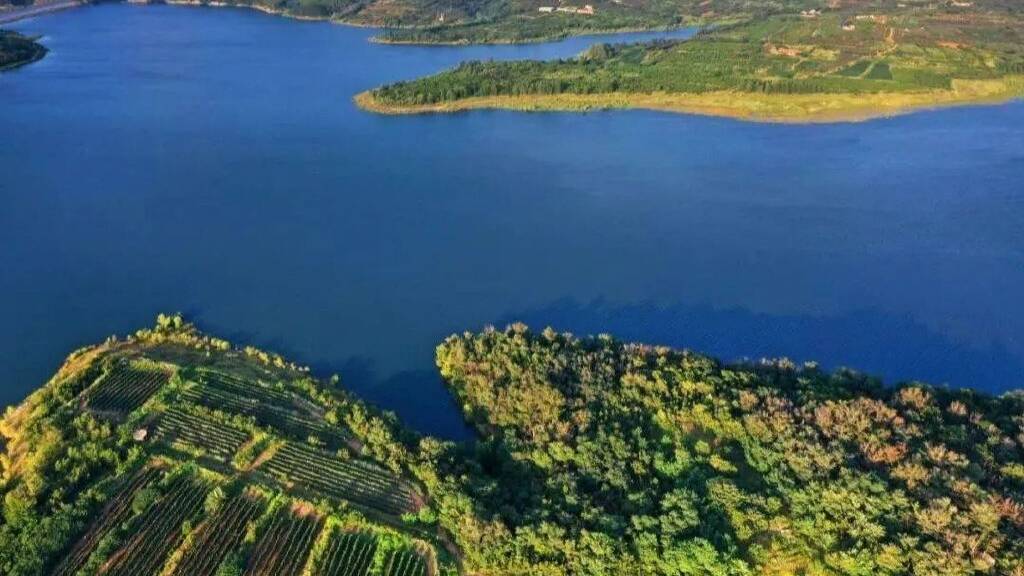 Su ubicaci&oacute;n geogr&aacute;fica privilegiada hace que sus vi&ntilde;edos gocen de una salud y una longevidad envidiables.
