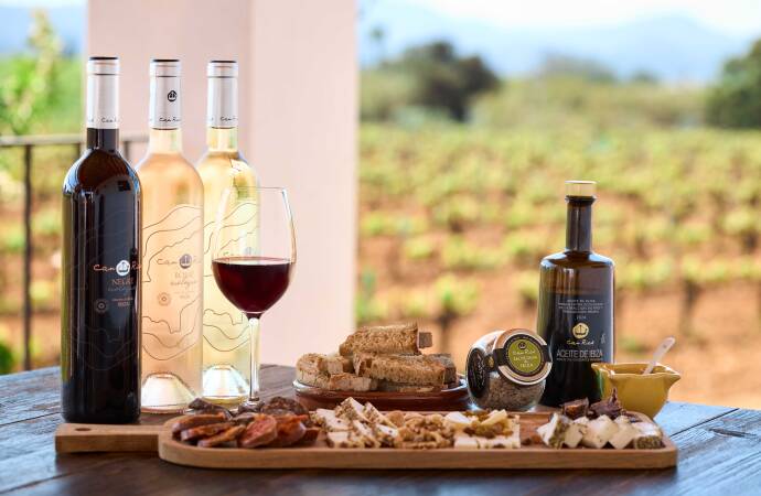 A photo of a table set with a platter of cold cuts and bottles of wine, with a vineyard in the background.