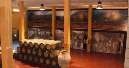 Imagen de barricas en el interior de la bodega.