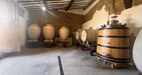 Bild von Fässern im Inneren des Weinkellers.