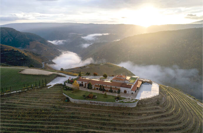 A view of the winery and the surrounding vineyards.
