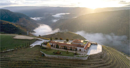 Ein Blick auf das Weingut und die umliegenden Weinberge.