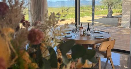 Imagen de una mesa con vinos de la bodega y vistas al viñedo.