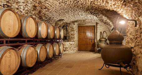 Bild von Fässern in einem unterirdischen Weinkeller