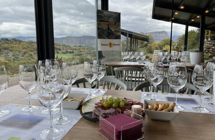 Imagen de una mesa con comida y copas de vino con vistas al viñedo.