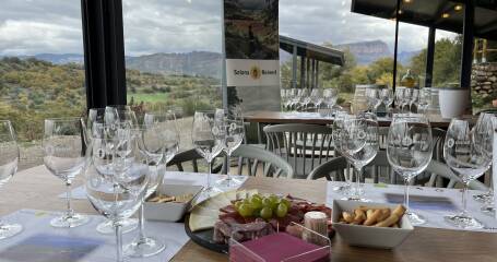 Bild eines Tisches mit Essen und Weingläsern und Blick auf den Weinberg.