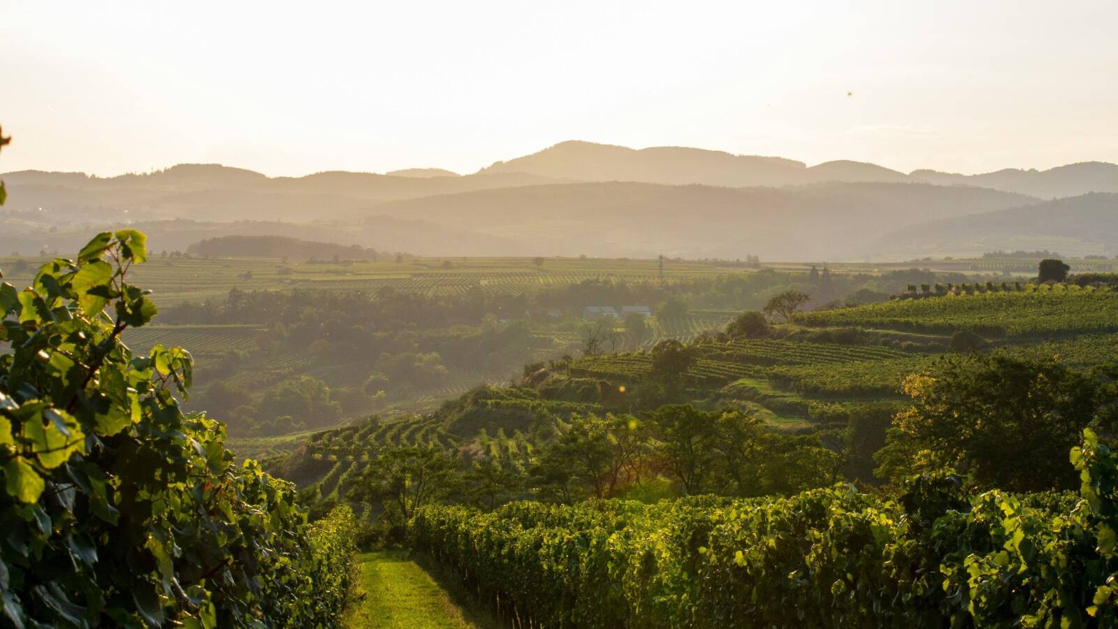 Uno de los cambios que se avecinan tiene que ver con la sostenibilidad: dejar&aacute; de ser un argumento de marketing para convertirse en una exigencia estructural.