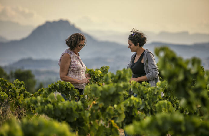 Bild von zwei Frauen in einem Weinberg.