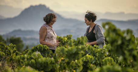 Bild von zwei Frauen in einem Weinberg.