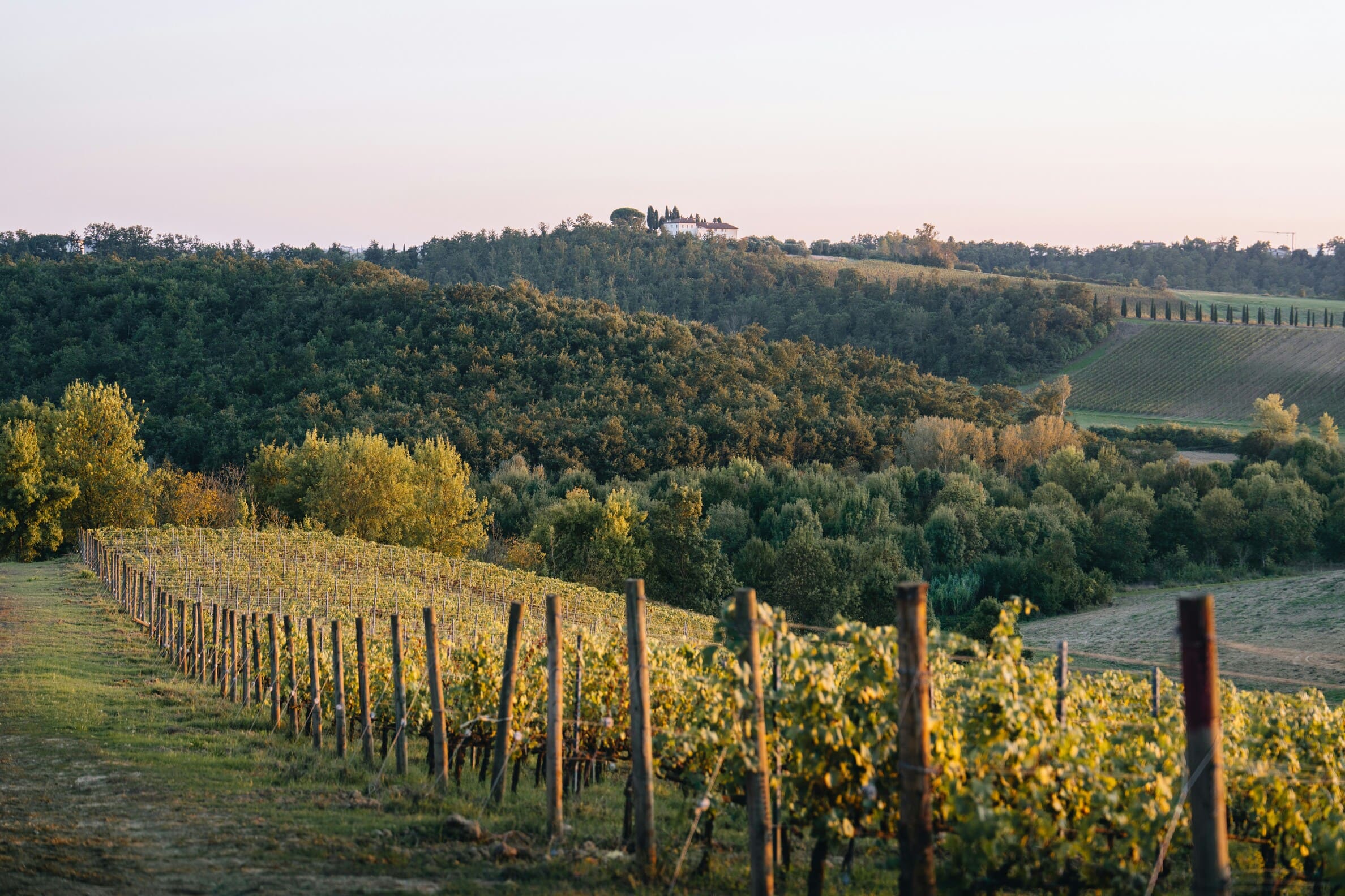 El vino, incluso para quienes no lo consumen, sigue siendo un objeto de deseo. Su carga simb&oacute;lica es poderosa: cultura, paisaje, historia, tiempo.