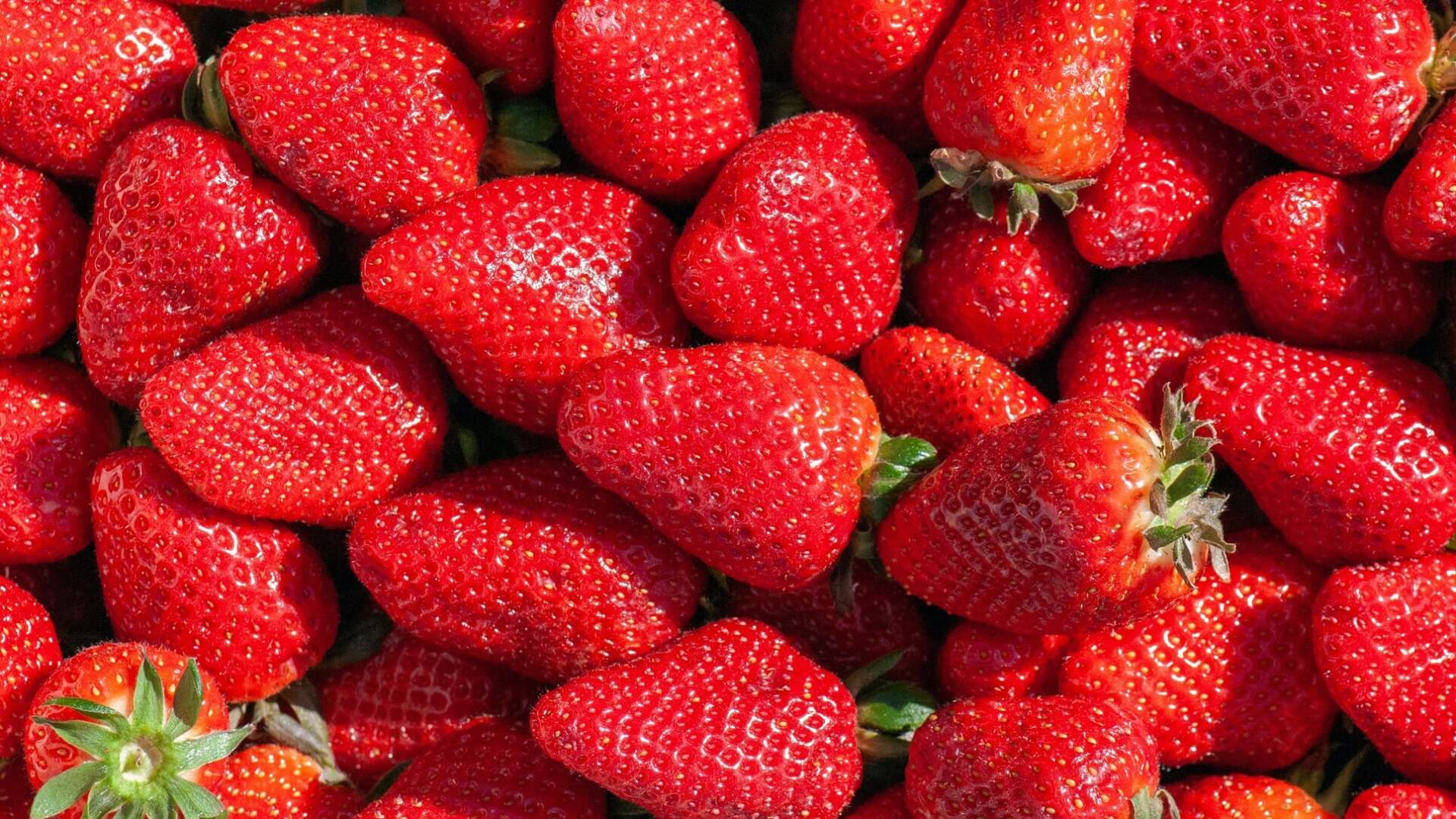Fresas.