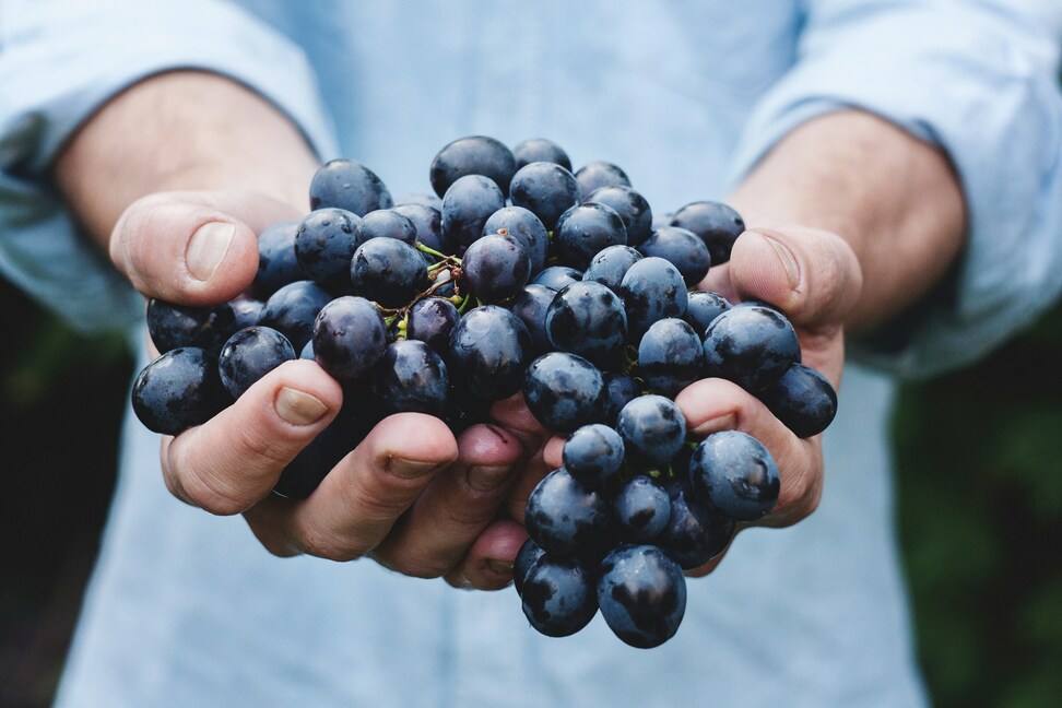 En ocasiones se confunden dos cosas completamente diferentes: la intervenci&oacute;n humana para manipular el vino con una finalidad productivista e intervenir para protegerlo.