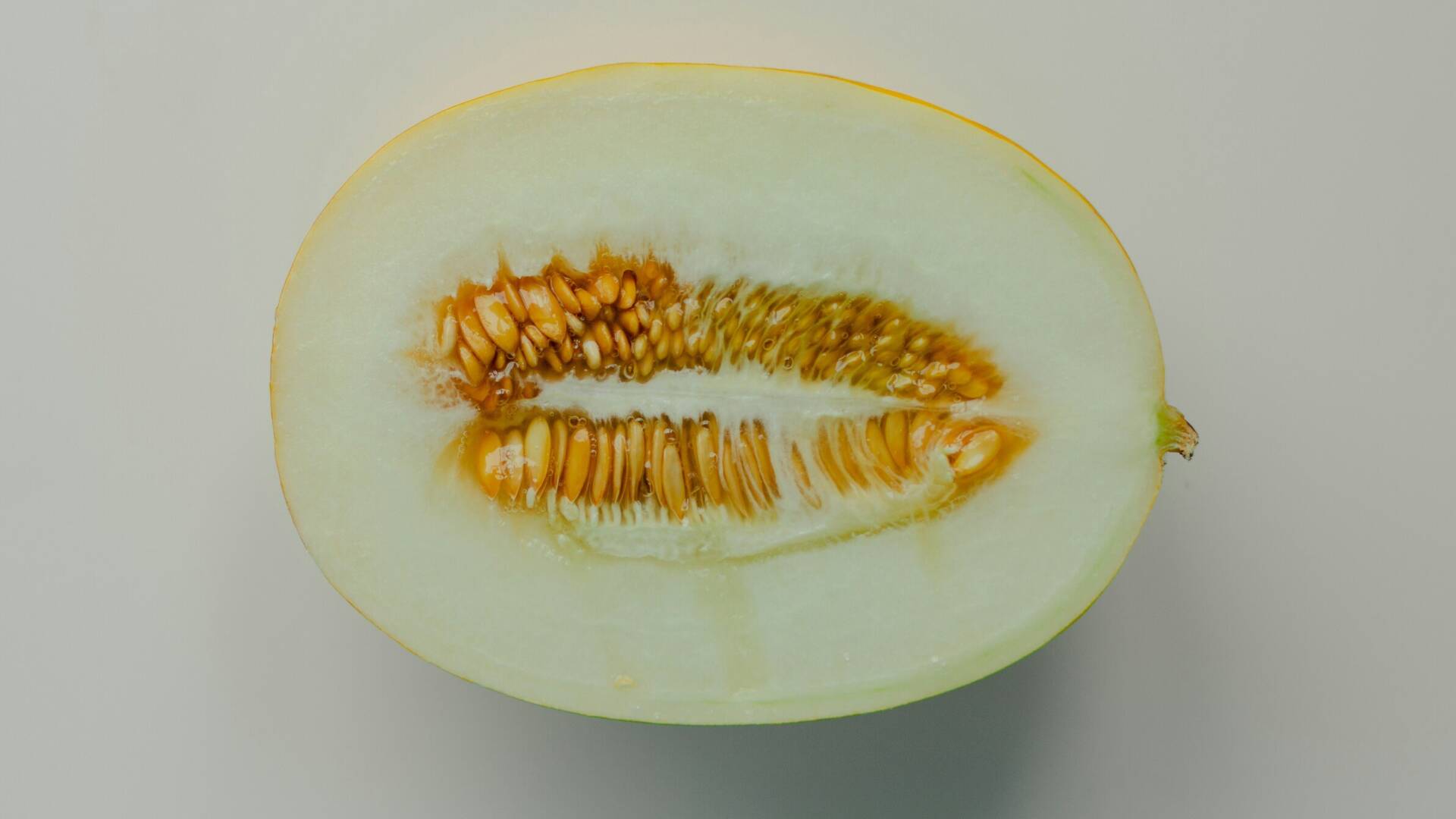 Mel&oacute;n