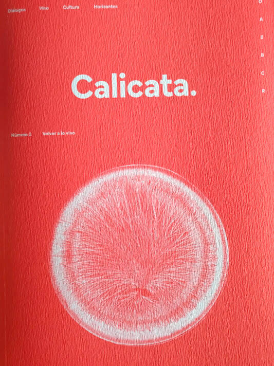 Calicata Magazine nº2: Volver a lo vivo.