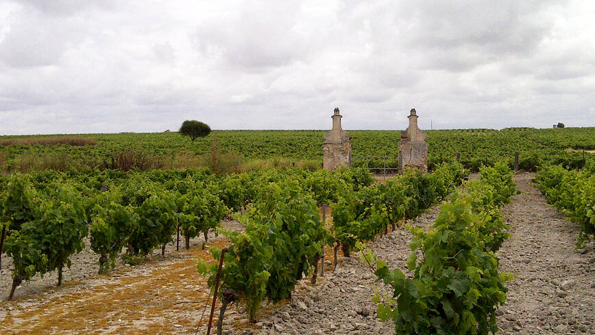 Vi&ntilde;edo de Miraflores.