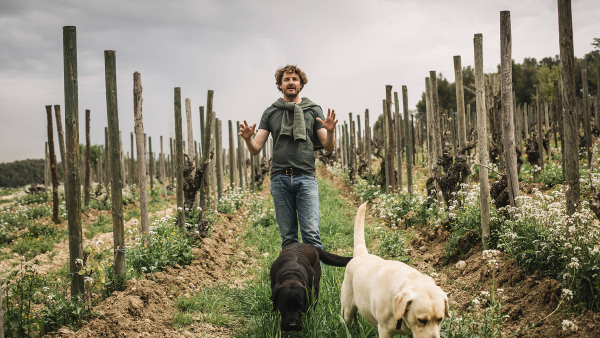 Pepe Ravent&oacute;s, en&oacute;logo de la bodega.